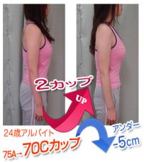 �O�����o�X�g�A�b�v�_�C�G�b�g